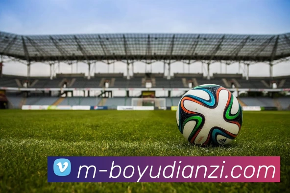 博鱼电子APP 封面图